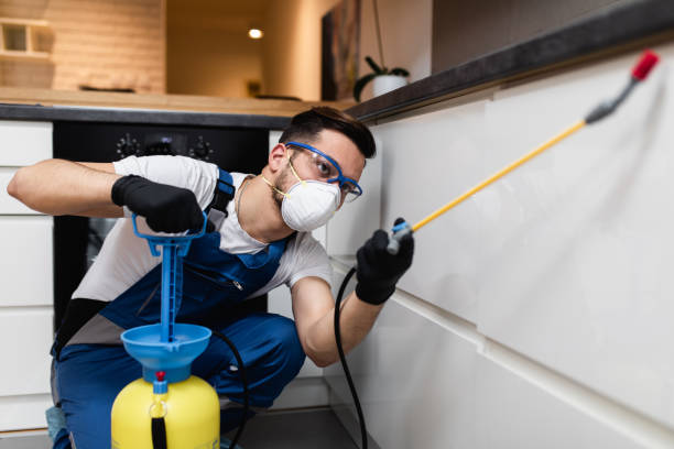 Best Wasp Removal Services  in Edgerton, OH