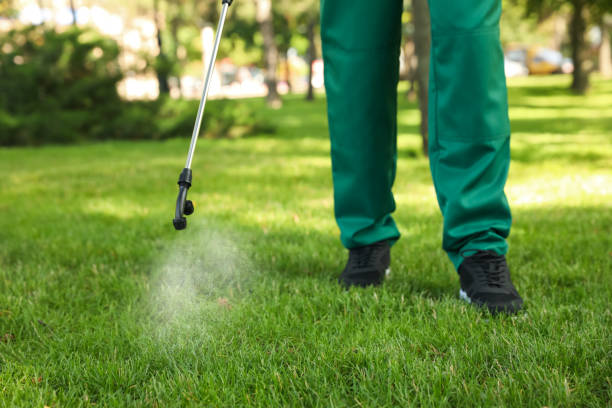 Trusted Edgerton, OH Pest Control Experts