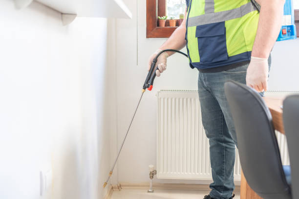 Wasp Removal Services in Edgerton, OH
