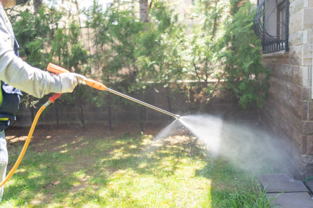 Best Wasp Removal Services  in Edgerton, OH