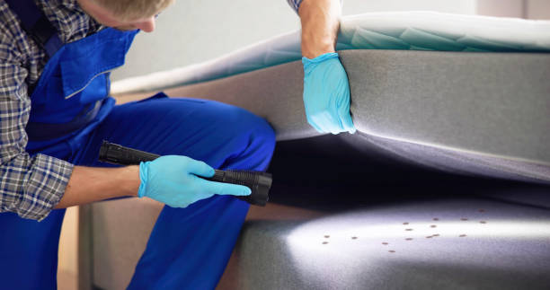Best Pest Prevention Services  in Edgerton, OH