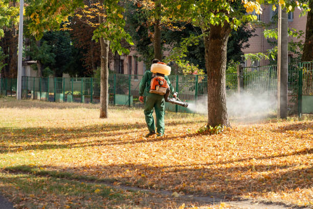 Best Pest Control Near Me  in Edgerton, OH