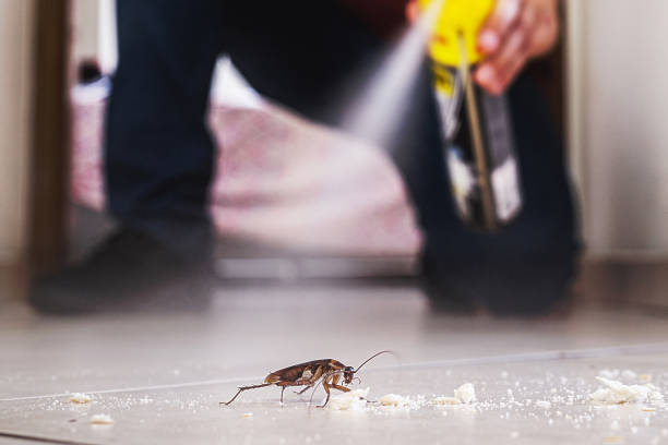 Best Cockroach Control Services  in Edgerton, OH