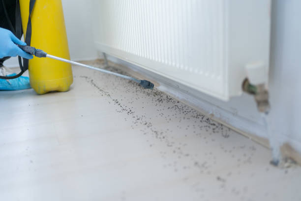 Best Best Pest Control Companies  in Edgerton, OH