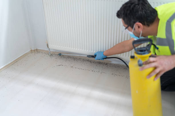 Best Cockroach Control Services  in Edgerton, OH