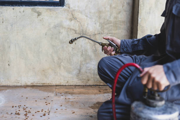 Best Local Pest Control Services  in Edgerton, OH